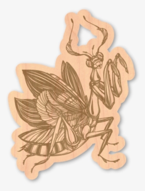 Mantis