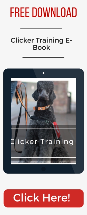 My Service Dog - Uam