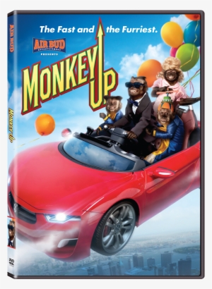 Monkey Up