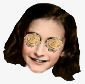 Rose Whiterose Anne Annefrank Flower Beauty Peace - Anne Frank