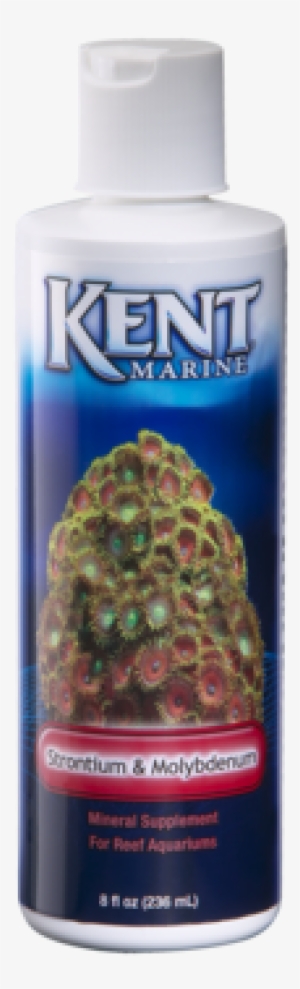 Kent Marine Strontium & Molybdenum Supplement - Kent Marine 00013 Strontium And Molybdenum