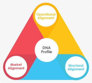 Maestro Helps You Map The Dna Profile And Alignment - Marketplanet