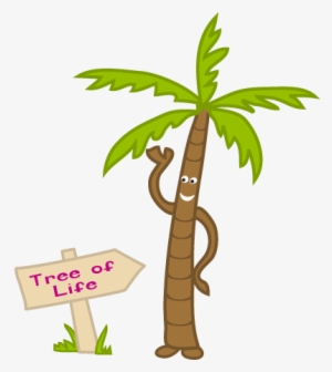 Coconut Palm Tree - Coconut
