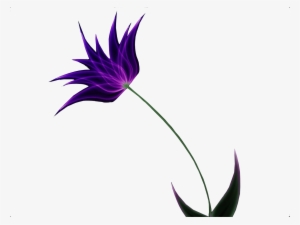 , Designs, Floral-side - Tropical Flower With Leaves Png