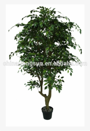 Lsd-20160308698 Hot Selling Artificial Banyan Tree - Tree