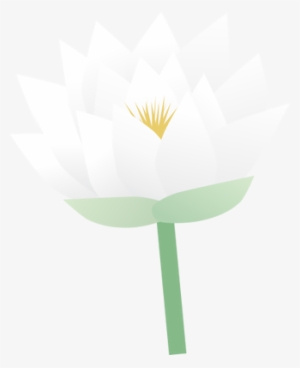 Ian Symbol Nymphaea Odorata Flower - Sacred Lotus