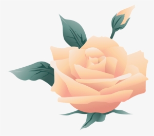 Wedding, Flower, Symbol, Rose, Nature, Floral - Blog