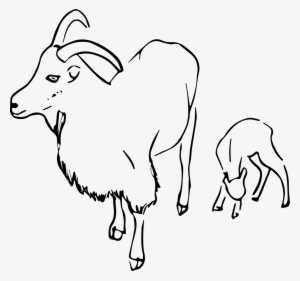 Goat,vector,image,free Vector Graphics - Clip Art