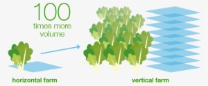 The World's Largest Vertical Farm - Horizontal Vs Vertical Farming