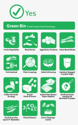 Green Bin Yes - Recycling Bin Yes No
