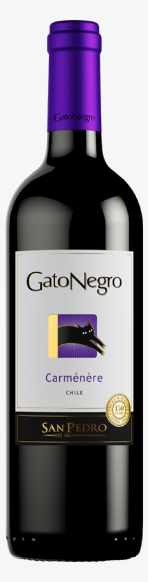 Vinho Gato Negro Merlot