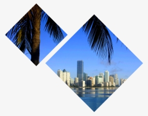 Visit Nmi City - Miami