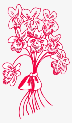 Stoke Flower Vector - Flower