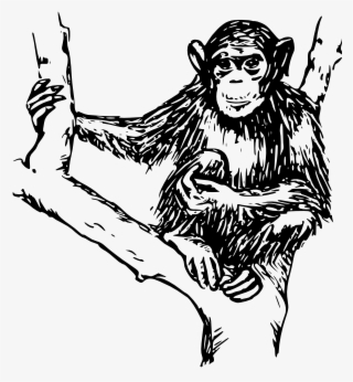 Monkey Svg Clip Arts 558 X 595 Px