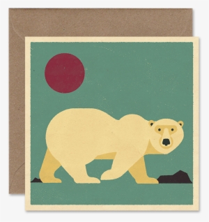 Polar Bear - Bear
