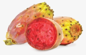 Prickly Pear - Fumari Prickly Pear