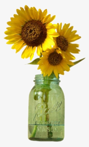 Sunflowers Png Mason Jar - Jar Sunflowers Png