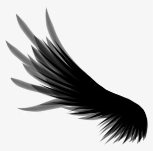 Free Vectors Download - Wings Png