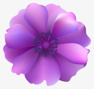Stickpng Purple Flower Decorative Transparent Clip - Clip Art
