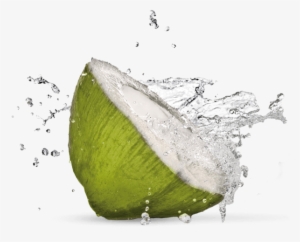Source - - Coconut With Water Png