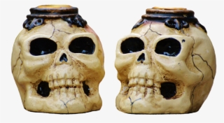 Skull And Bone,weird,scary - Skull