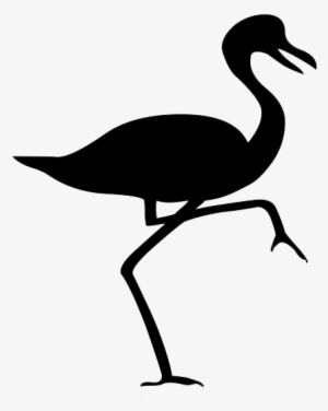 Bird Silhouette Flamingo - Silueta De Un Pajaro