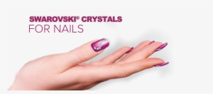 Contact Us - Crystal