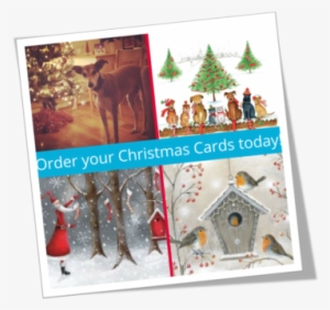 If You Like To Send Out Cards To Your Friends And Family, - Christmas Day