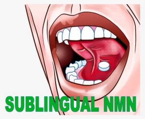 Increased Bioavailability - Sublingual