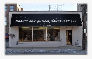 Noah's Ark Animal Sanctuary - Noah's Ark Rockford