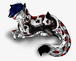 Recent Images - Illustration