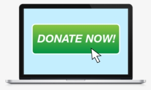Increase Donations Online Donation Button Example - Fundraising