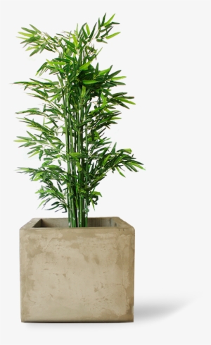 Related Wallpapers - Flowerpot