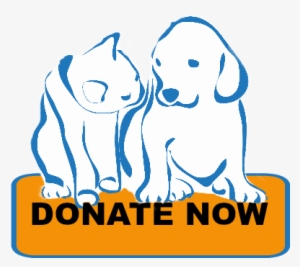 Donate - Donation