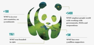 Wwf Pic Ori - Wide Fund For Nature Transparent PNG - 1000x650 - Free Download on NicePNG