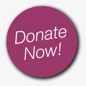 Donate Now Button - Create Your Life Pink