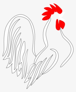 Rooster