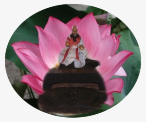 Imaginary View Of Swami In The Banks Of River Cauvery - Pink Color Things In Nature