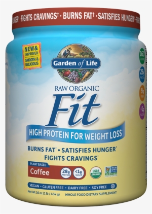 Garden Of Life Fit Chocolate
