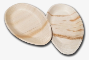 Biodegradable Oval Plates - Macoma