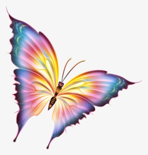Butterfly Png Beautiful