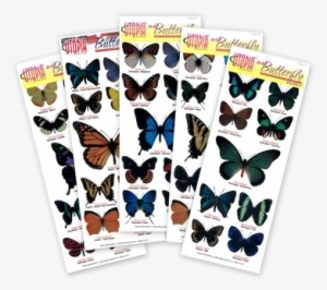 Butterfly Pop Up Stickers