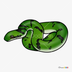 How To Draw Green Snake Snakes - Dinosaur Cartoon Side View