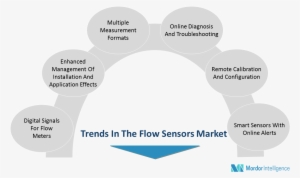 Key Players In The Flow Sensor Market Have Particularly - Diagram