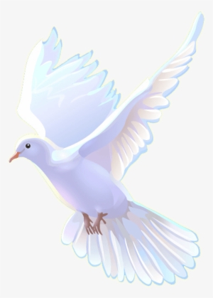 Meshach Taylor Heathers - รูป นก พิราบ ขาว บิน