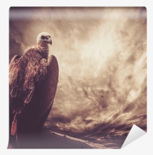 Eagle Sitting On A Log Against Stormy Sky Wall Mural - Poster: Photo's Roaring Lioness Against Stormy Sky,