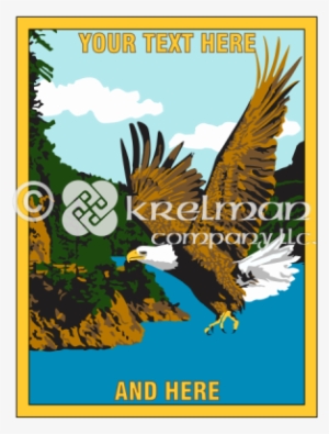K2206 Bald Eagle In Flight Over Lake - Lake Forest