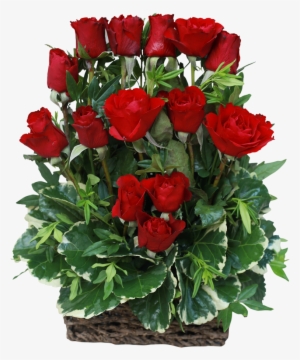 15 Red Rose Arrangement - Auguri Di Buon Compleanno Silvana