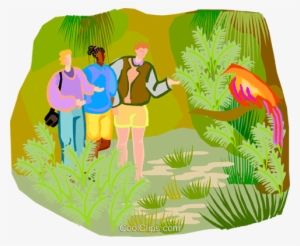 Walking Through A Nature Preserve Royalty Free Vector - Walking Through The Jungle Clipart