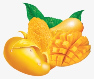 China Mango Concentrate Juice, China Mango Concentrate - Suppershop-us Manual Juicer Fruit Vegetable Convenient